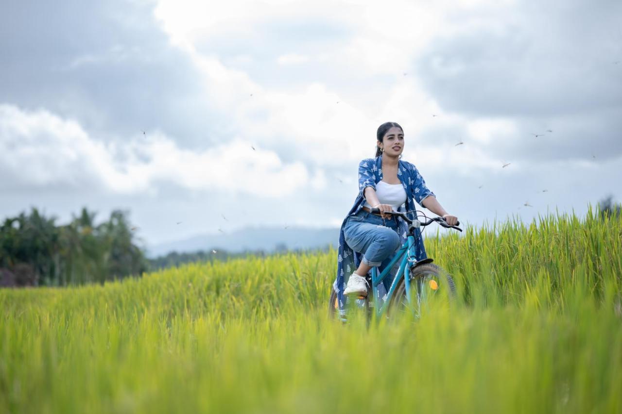 Raindrops Resorts Wayanad Sultan Bathery Zewnętrze zdjęcie