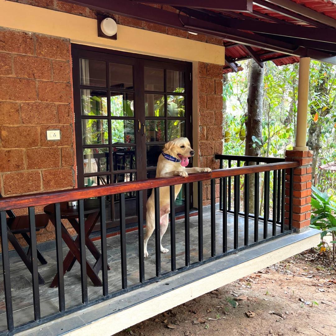 Raindrops Resorts Wayanad Sultan Bathery Zewnętrze zdjęcie
