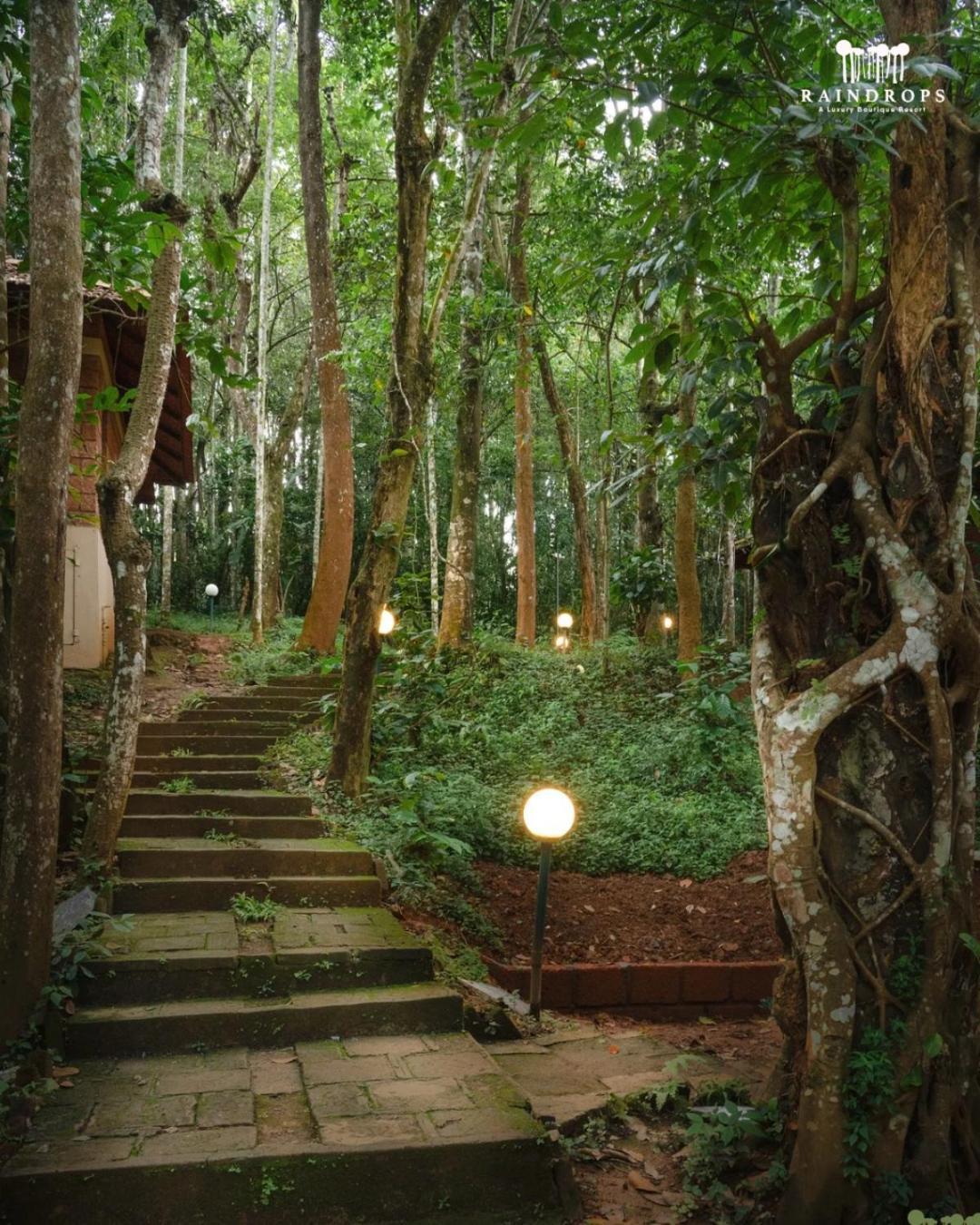 Raindrops Resorts Wayanad Sultan Bathery Zewnętrze zdjęcie
