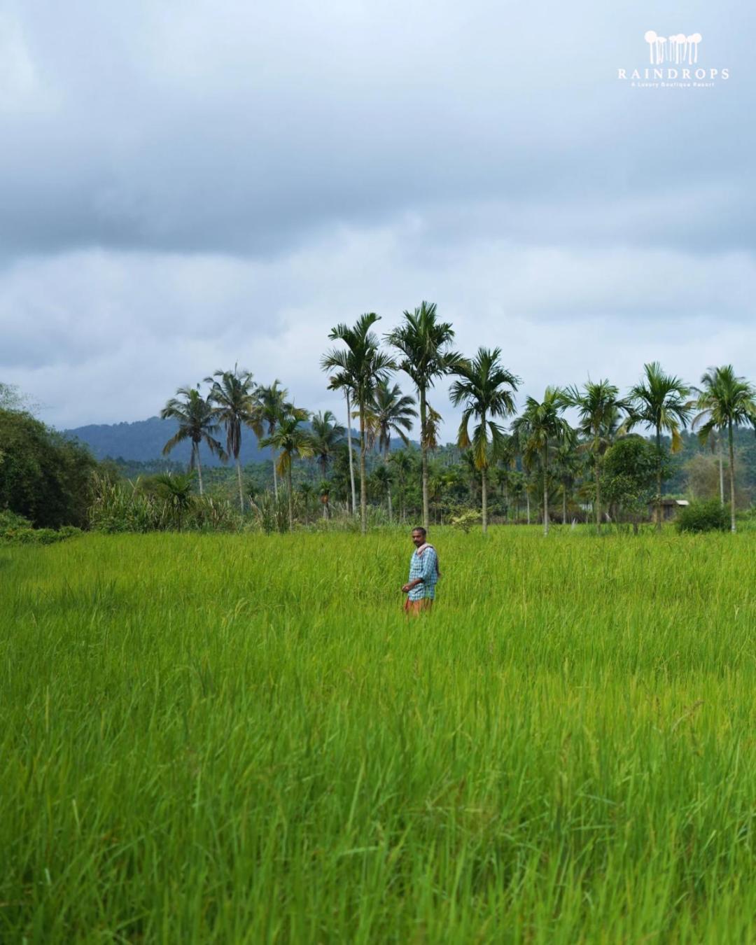 Raindrops Resorts Wayanad Sultan Bathery Zewnętrze zdjęcie